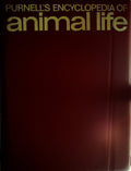 Purnell's Encylopedia of Animal Life - Volume 1