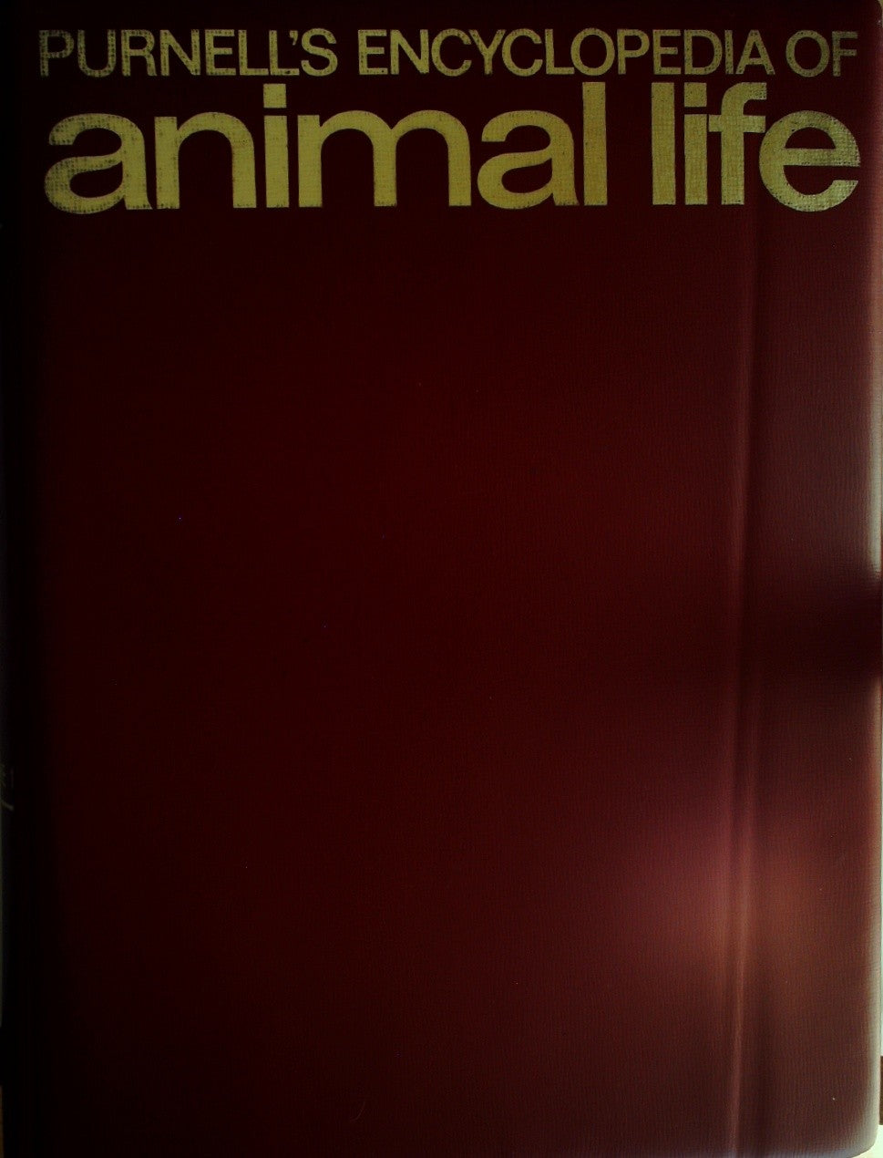 Purnell's Encylopedia of Animal Life - Volume 1