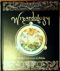 Wizardology: The Book of the Secrets of Merlin by Steer